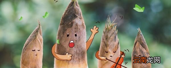 笋芽儿的故事 笋芽儿的童话故事