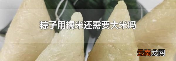 粽子用糯米还需要大米吗