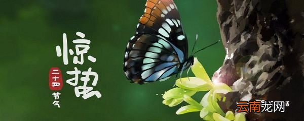 惊蛰的含义 惊蛰是什么意思