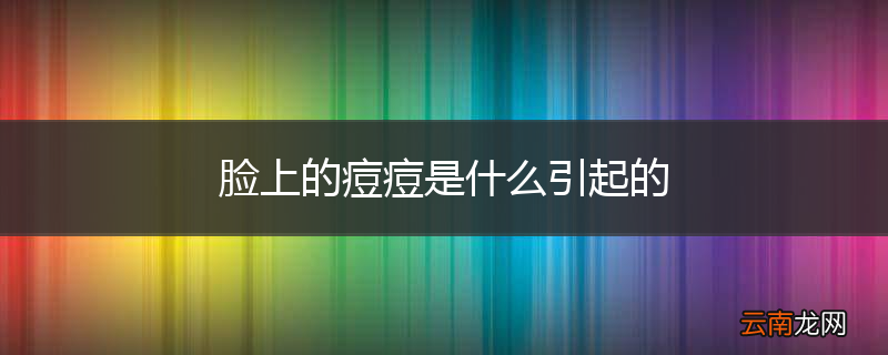脸上的痘痘是什么引起的