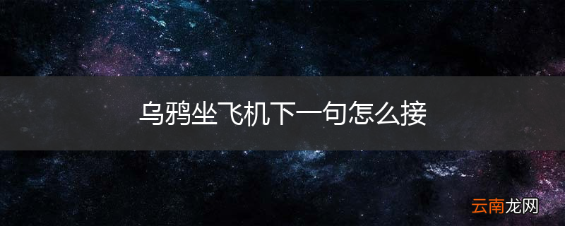 乌鸦坐飞机下一句怎么接
