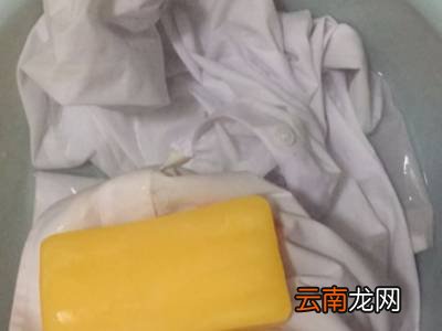 衣领软塌塌的怎样立起来