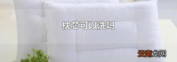 枕芯可以洗吗