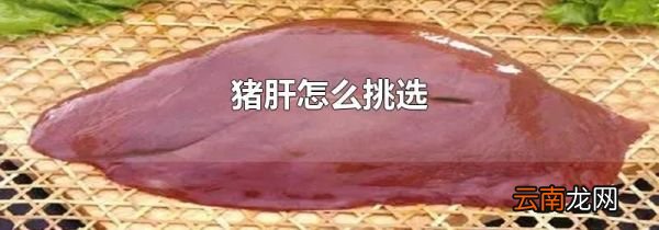 猪肝怎么挑选