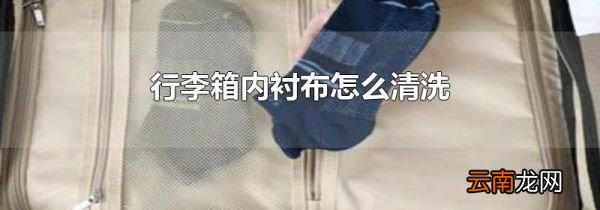 行李箱内衬布怎么清洗