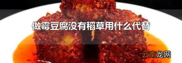 做霉豆腐没有稻草用什么代替
