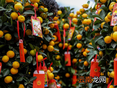 年桔上的利是封怎么挂