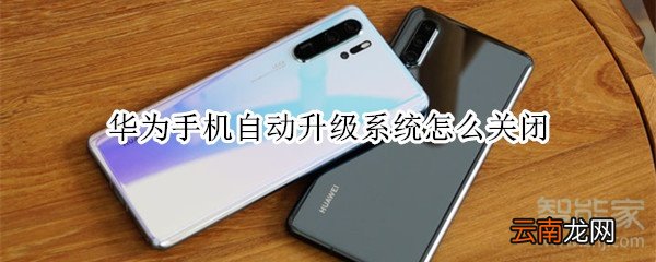 华为手机自动升级系统怎么关闭