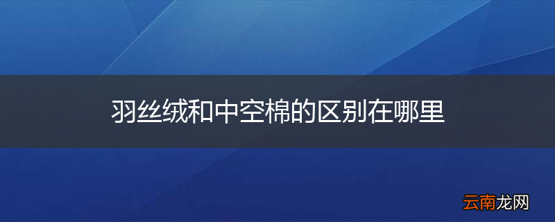 羽丝绒和中空棉的区别在哪里