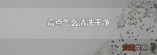 霉点怎么清洗干净