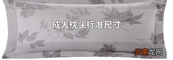 成人枕头标准尺寸
