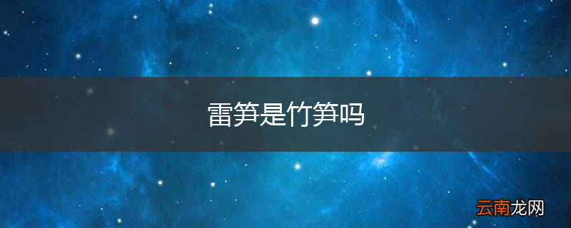 雷笋是竹笋吗