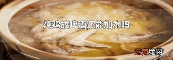 炖鸡放啤酒还能加水吗