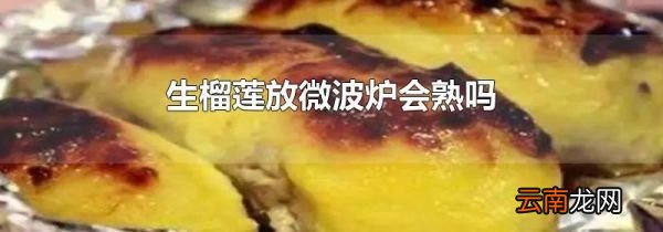 生榴莲放微波炉会熟吗