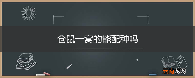 仓鼠一窝的能配种吗