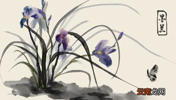 花中四君子是哪四种 花中四君子是哪四种植物