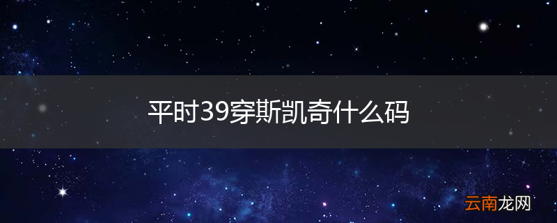 平时39穿斯凯奇什么码
