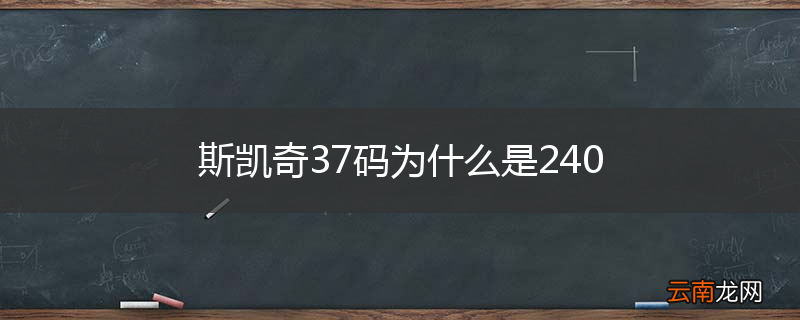 斯凯奇37码为什么是240