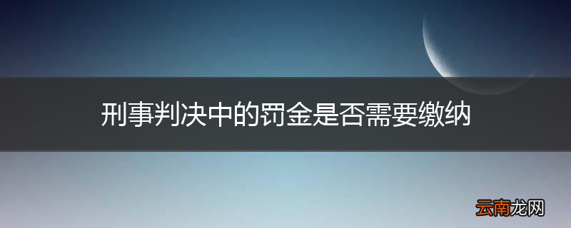 刑事判决中的罚金是否需要缴纳