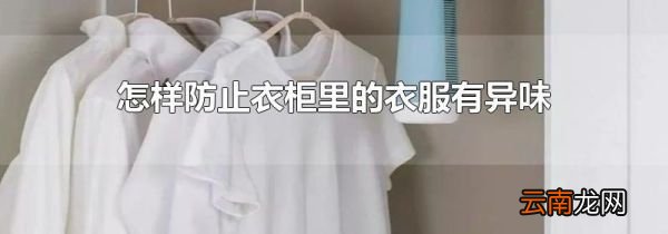 怎样防止衣柜里的衣服有异味