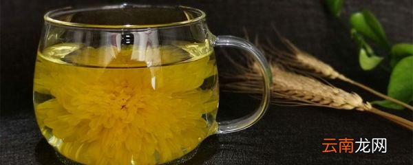 胎菊和菊花的功效区别 胎菊和菊花的功效区别是什么