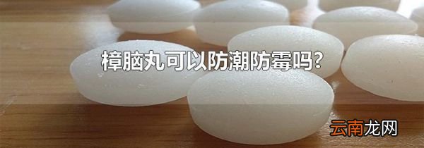 樟脑丸可以防潮防霉吗?