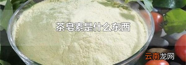 茶皂素是什么东西