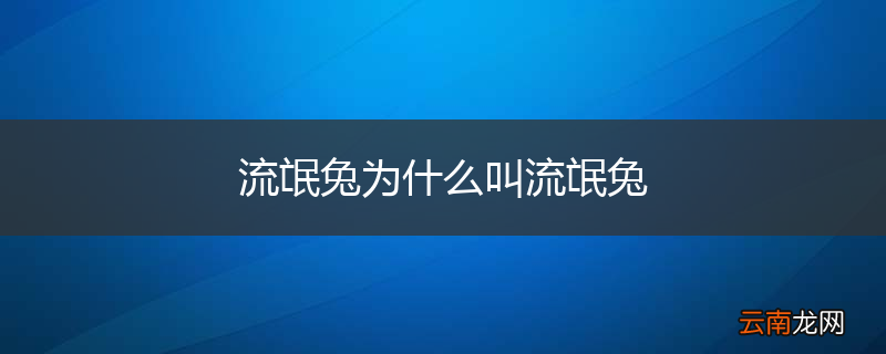 流氓兔为什么叫流氓兔