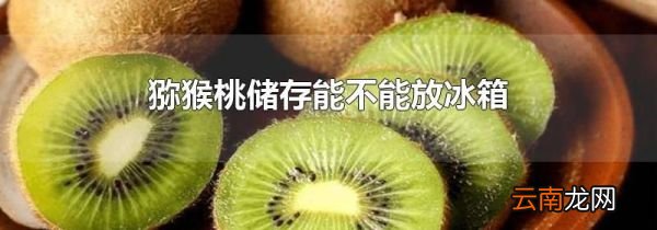 猕猴桃储存能不能放冰箱