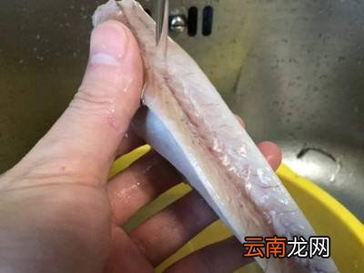 带鱼怎么杀