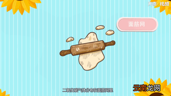 为什么面包里面都是小孔 为何面包里面都是小孔