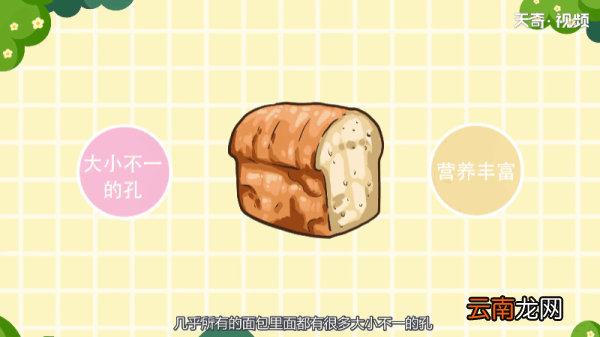 为什么面包里面都是小孔 为何面包里面都是小孔