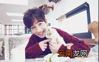 微博如何帮爱豆朱一龙打榜方法介绍