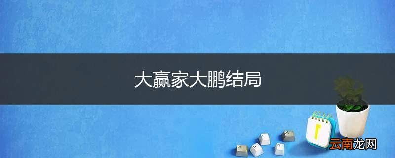 大赢家大鹏结局