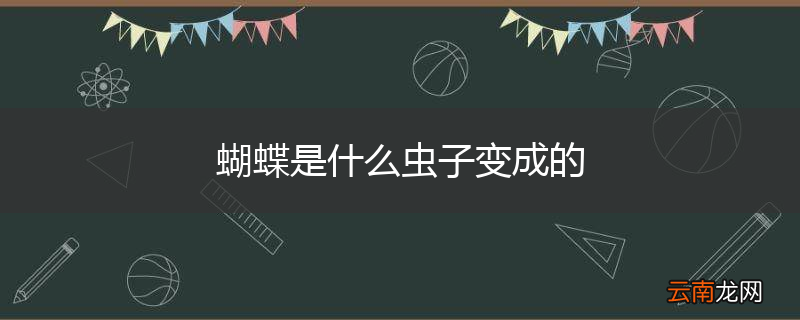 蝴蝶是什么虫子变成的