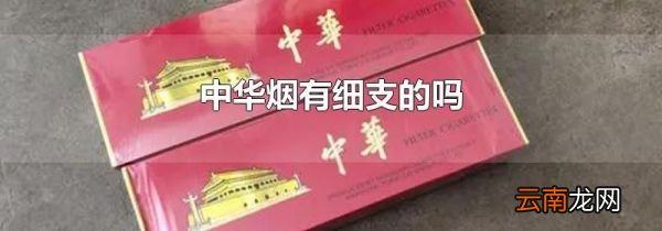 中华烟有细支的吗