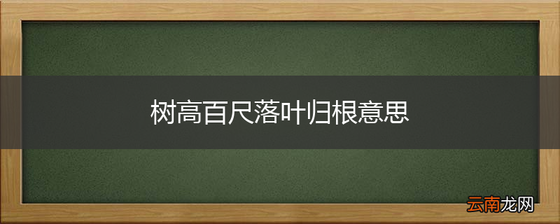 树高百尺落叶归根意思