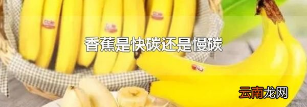 香蕉是快碳还是慢碳