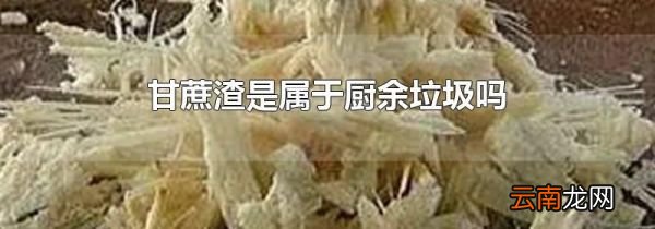 甘蔗渣是属于厨余垃圾吗
