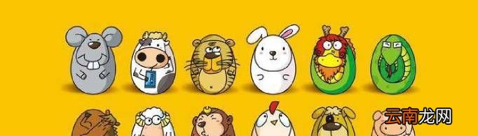 十二生肖都有什么？