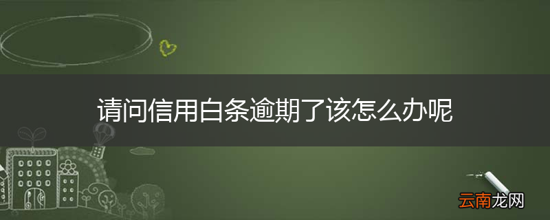 请问信用白条逾期了该怎么办呢