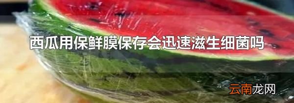 西瓜用保鲜膜保存会迅速滋生细菌吗