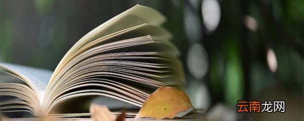 扉页是什么意思扉页是指什么意思