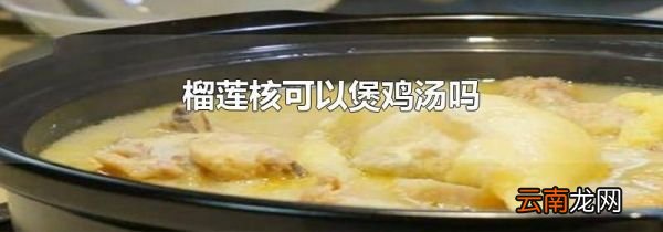 榴莲核可以煲鸡汤吗