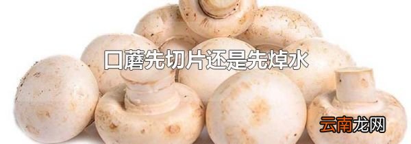口蘑先切片还是先焯水