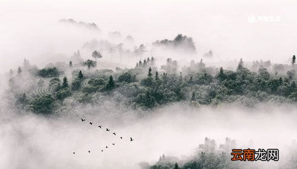 重庆周边旅游景点 重庆周边旅游景点有哪些