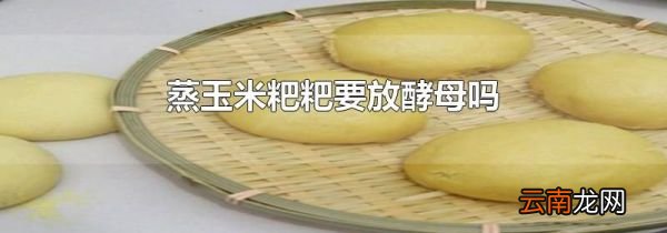 蒸玉米粑粑要放酵母吗