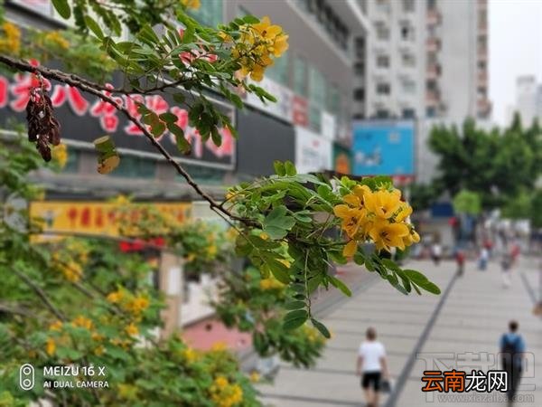 魅族16th和魅族16X哪个好，有什么区别