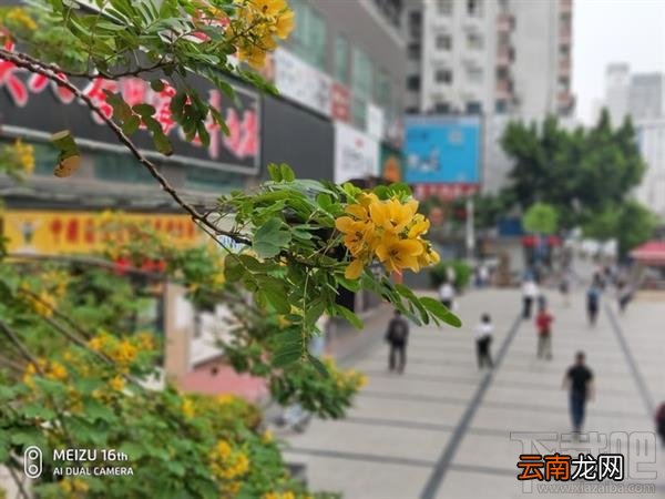 魅族16th和魅族16X哪个好，有什么区别