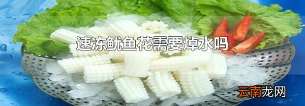 速冻鱿鱼花需要焯水吗